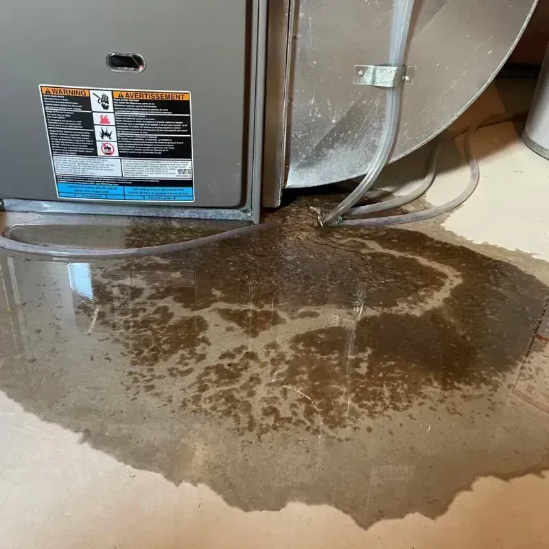 Appliance Leak Cleanup in West Haven, CT